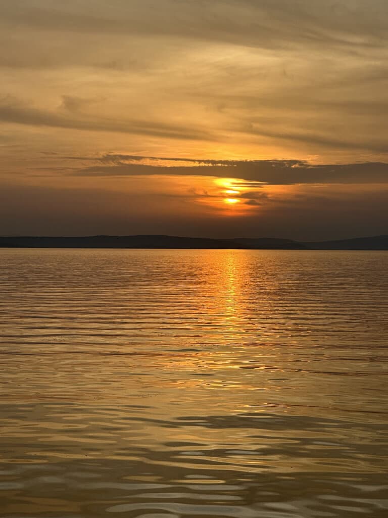alt image