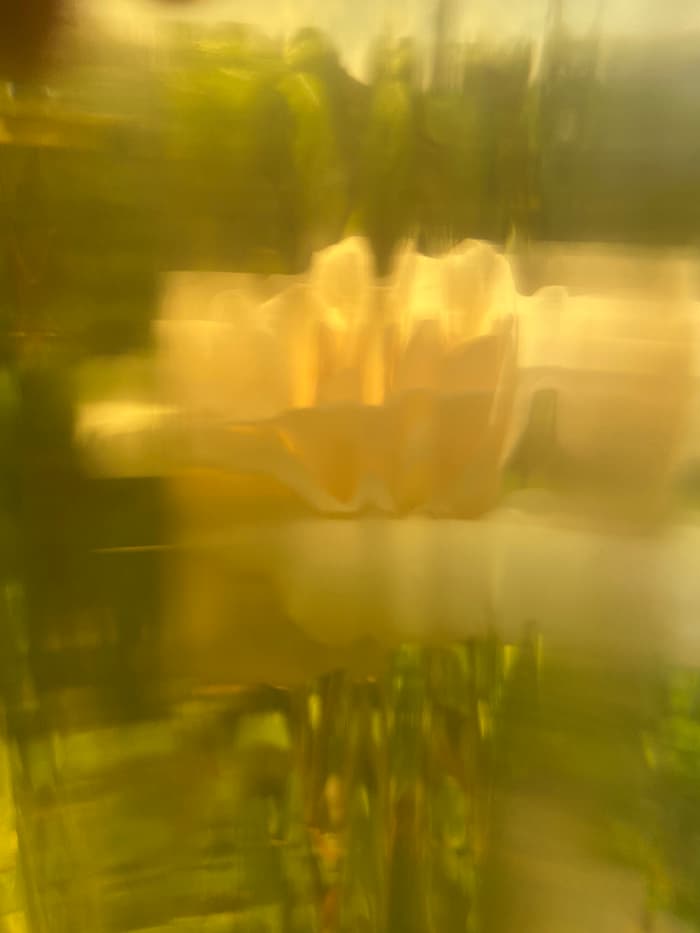 alt image