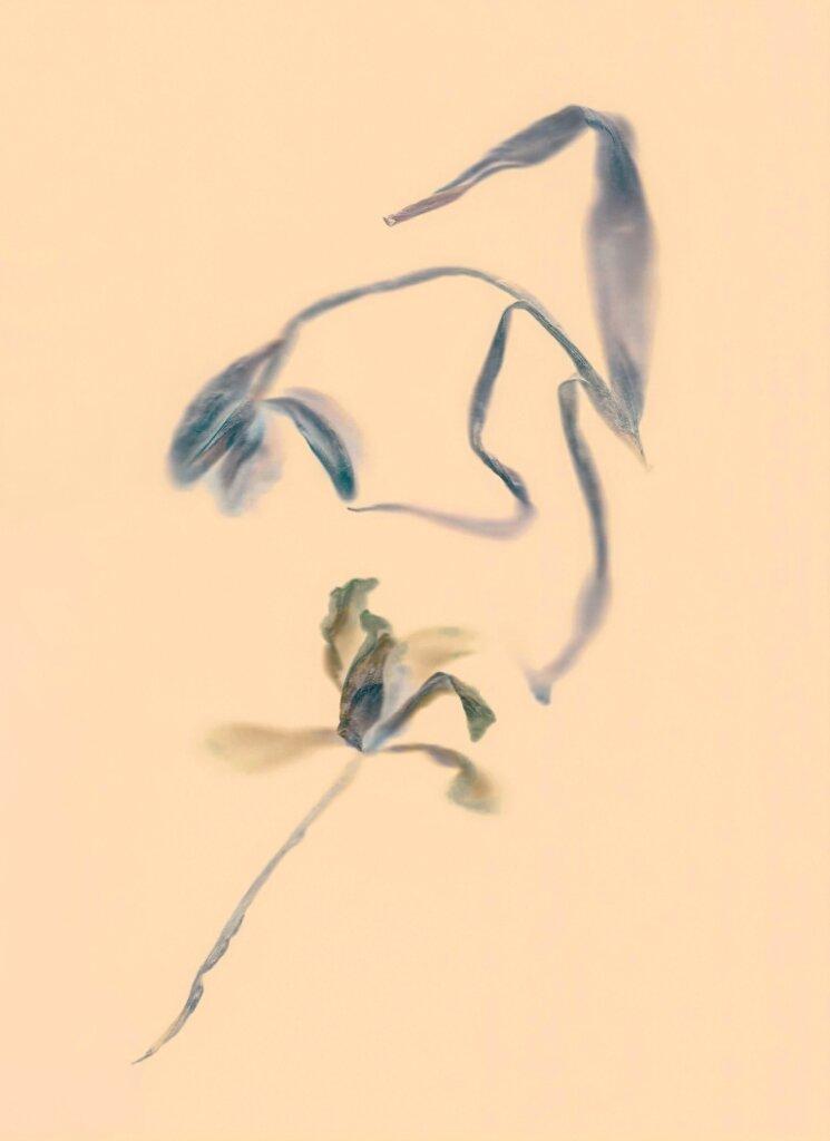 alt image
