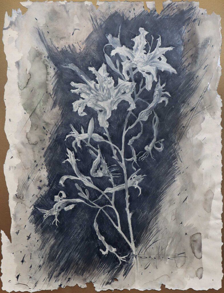 alt image