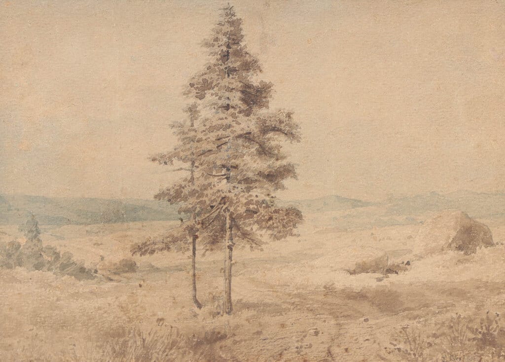 alt image