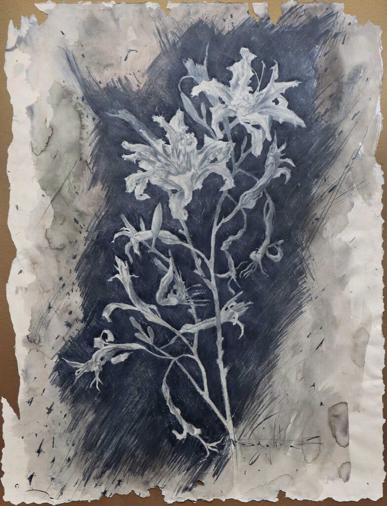 alt image