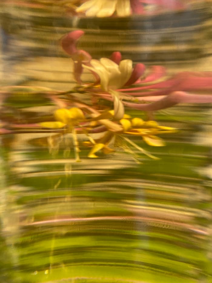 alt image
